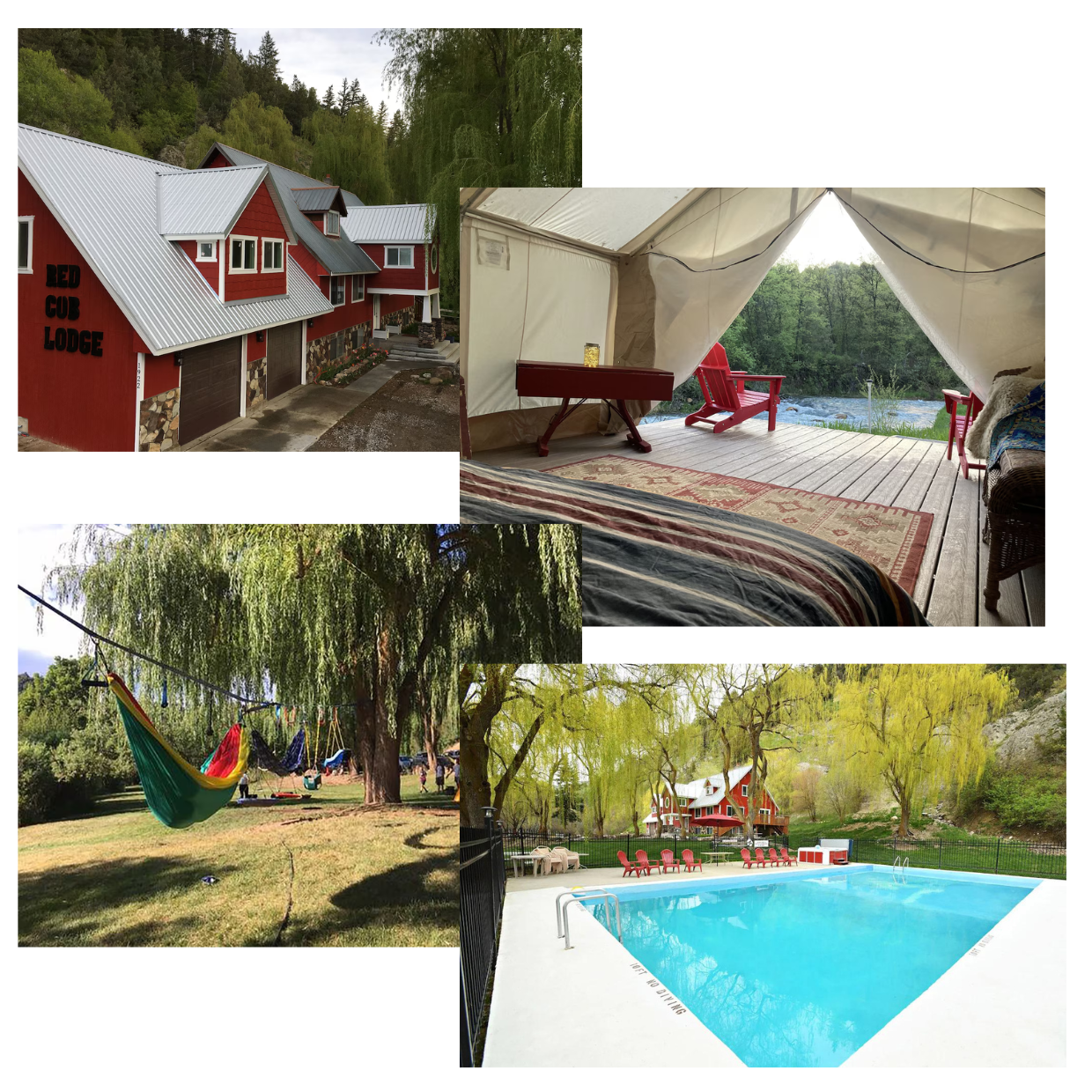 Red Cub Lodge Red Cub Lodge