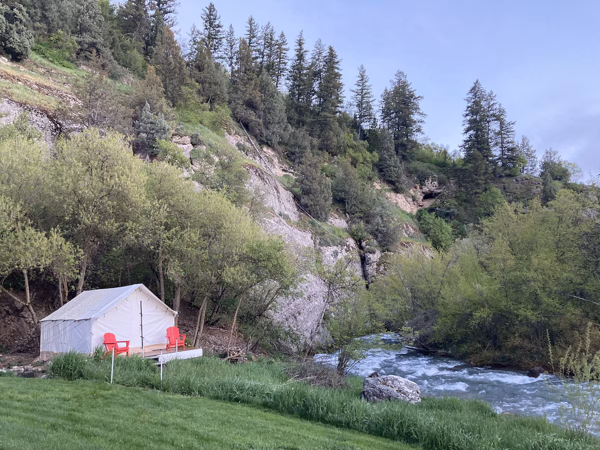 Bring the whole family!